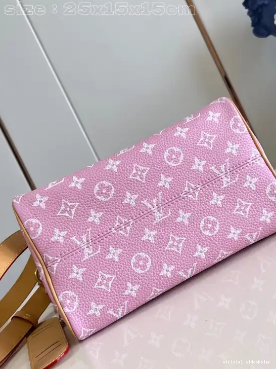 Official oldcobbler Vuitton 25 SPEEDY Louis 0630